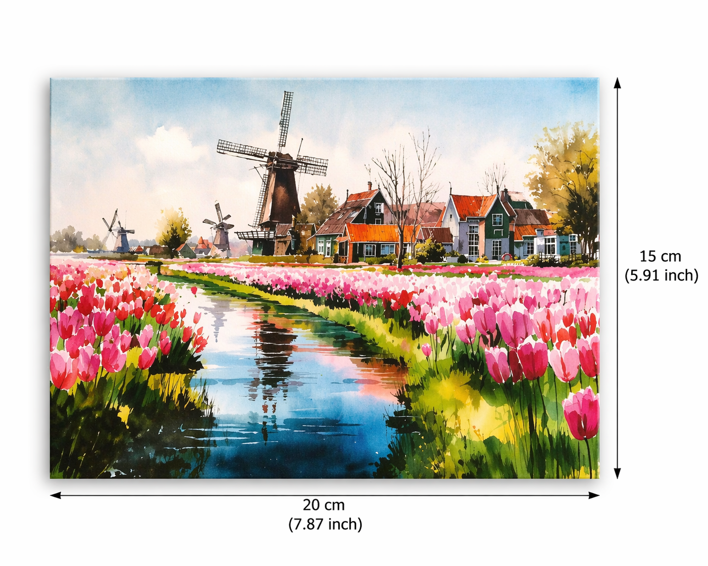 Elena’s Tulip Morning – A Dream in Holland